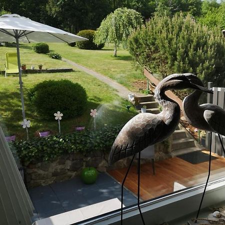 Casa Carlotta - Keine Monteure Villa Langelsheim Exteriör bild
