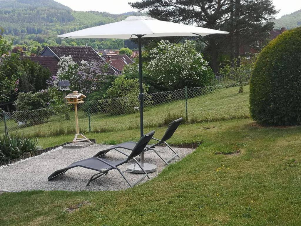 Casa Carlotta - Keine Monteure Villa Langelsheim Exteriör bild